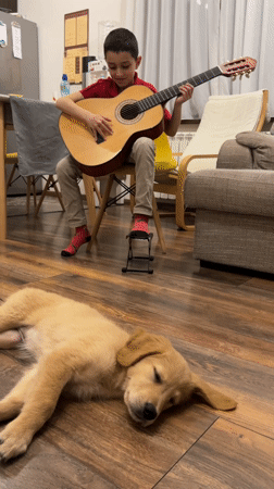 Boy practices guitar with golden retriever puppy in Bulgaria