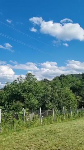 The video shows a rural landscape on a sunny day. The sky is a clear blue with scattered white clouds. In the foreground, there is a well-maintained green lawn. A chain-link fence runs across the middle ground, separating the lawn from a dense line of trees and foliage behind it. The trees are lush and green, suggesting a temperate climate. In the distance, hills covered in vegetation are visible. A circular stone well with a wooden structure above it is located on the lawn to the right of the fence. There are no people or animals visible in the video. The scene is peaceful and depicts a natural, undeveloped environment.