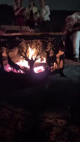 Four women and one man are gathered around a campfire at night. The women are standing and appear to be singing or talking, while the man is seated and playing a guitar. The campfire is in a decorative metal fire pit with a forest scene cut into its sides. The overall environment appears to be outdoors, possibly a backyard or campsite, with trees visible in the background. The lighting is dim, with the fire providing the main light source.