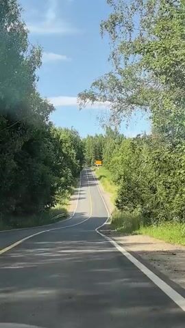 The video shows a first-person perspective of driving on a paved road surrounded by lush green trees. The road has a yellow center line and a white edge line. The sky is blue with a few scattered clouds. There are signs visible along the side of the road, including a yellow sign in the distance and a triangular sign with a symbol indicating a curve. The overall impression is a scenic drive through a wooded area.