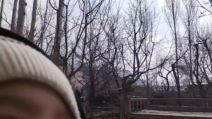 The video shows a close-up of a person's face, specifically the mouth and chin, wearing a black hooded jacket. The camera then pans upwards to reveal a wintery scene with bare trees, a building with multiple windows, and laundry hanging on a clothesline. The sky is overcast.