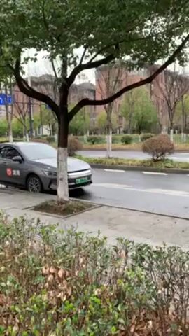 The video shows a pink BMW sedan driving on a wet road, from left to right. The car passes in front of trees, bushes, and parked cars on the side of the road. Apartment buildings are visible across the street. The sky is overcast.