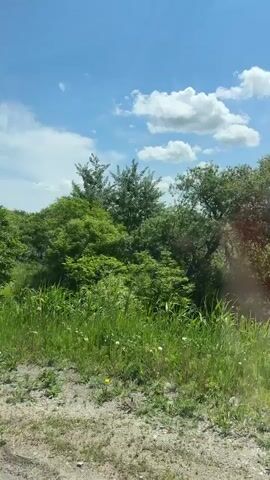 The video shows a view from a vehicle driving along a dirt road next to a body of water. The sky is blue with scattered white clouds. Lush green trees and tall grass line the edge of the road and the water. The water appears calm, reflecting the sky. The road itself is composed of gravel and dirt. The camera is looking out the side window of the vehicle, providing a landscape view as the vehicle moves. There are no people or other objects clearly visible in the frame besides the natural environment. The lighting suggests it is daytime, likely midday due to the bright sunlight.