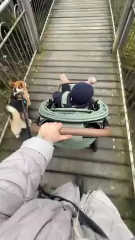 A first-person perspective shot shows a person pushing a stroller along a wooden bridge or elevated walkway. A dog walks alongside the stroller on the left. The person pushing the stroller wears a light gray puffer jacket and black pants and shoes. In the stroller, a child is visible from the back, wearing a dark blue hat and dark clothing, with bare feet visible. The stroller is a light green color with a brown handle. The dog is small and tricolored. The bridge or walkway is made of wooden planks and has metal railings on both sides. The camera moves forward as the person walks, keeping the stroller and dog in view. The environment appears to be outdoors, possibly in a park or natural setting.
