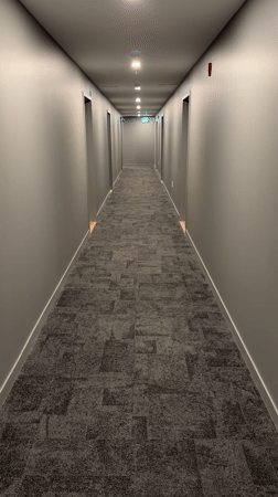 Dog runs down hallway in Laval building