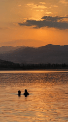 Swimming at golden hour on a calm Tbilisi lake