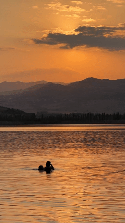 Swimming at golden hour on a calm Tbilisi lake