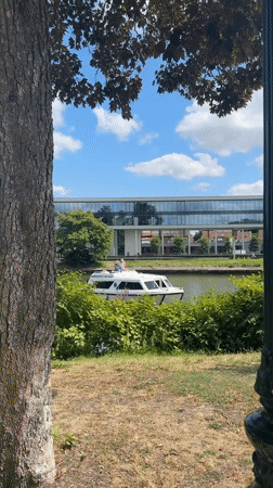 Afternoon canal life in Bruges: boats, bridges, and birds