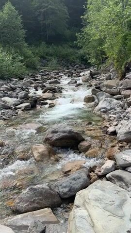 A clear mountain stream flows over a rocky bed. Trees and foliage line the banks of the stream, and a forest covers the background. The water is transparent, allowing the rocks and pebbles beneath to be seen. The stream is shallow and fast-moving, creating small rapids and ripples as it flows downstream. The lighting suggests it is daytime, likely a moderately overcast day given the diffused light.