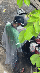 Rainy Da Nang morning: wet streets and a resting dragonfly