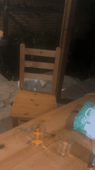 White cats gather on nighttime patio in Bulgarian village