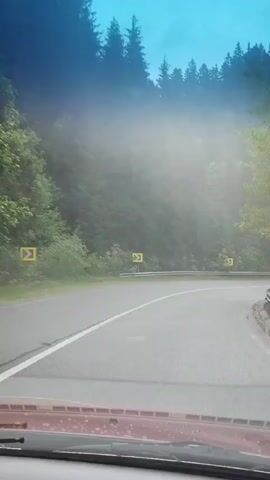 The video shows a first-person perspective from inside a vehicle driving on a winding mountain road. The road is paved and has a white line marking the lane. The surrounding environment is a dense forest with tall evergreen trees, characteristic of a mountainous region. The weather appears to be overcast or foggy, as a thick mist obscures the background, creating a somewhat ethereal atmosphere. The sky, visible at the top of the frame, is a hazy blue, suggesting it might be early morning or late afternoon.

There are several yellow road signs with black arrows indicating sharp turns to the right, suggesting the road is quite curvy. A metal guardrail runs along the side of the road for safety. In the distance, another vehicle, a dark-colored SUV with kayaks strapped to its roof, is seen driving in the same direction. The SUV has some text on its side, but it is blurry and unreadable. The interior of the vehicle from which the video is recorded is partially visible at the bottom of the frame, showing the dashboard and windshield wipers. The overall mood is tranquil, with the focus on the natural beauty of the foggy forest and the act of driving through it.