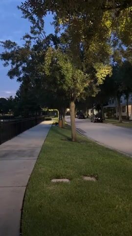 The video begins facing a sidewalk with a green lawn to the right and a body of water to the left, bordered by a black metal fence. Trees with illuminated foliage are visible along the sidewalk. A street with parked cars is visible to the right of the lawn. The sky is a dusky blue with clouds, and the sun is setting, casting a pinkish glow on the horizon. A fountain is visible in the body of water. The camera pans slowly to the left, revealing more of the lake, trees, and the sky. The video ends with a wider view of the lake, trees, and the sunset.