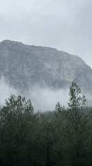 Hikers traverse misty mountain forest in Konyaaltı, Turkey