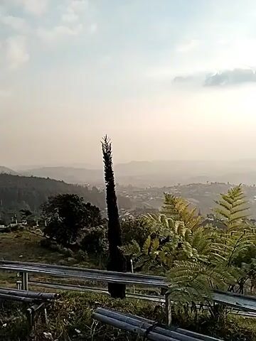 The video opens with a view of a landscape with a hazy sky and rolling hills in the distance. In the foreground, there are several plants, including ferns, and a tall, dark, slender tree. The sun is visible in the sky, partially obscured by clouds, casting rays of light through the haze. As the video progresses, the sun becomes more prominent, and the light intensifies. The camera appears to be stationary, capturing a scenic view during what seems to be sunrise or sunset. There are no people or any specific actions being performed.