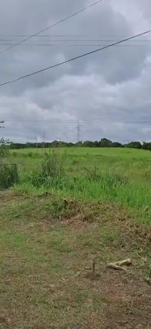 The video shows a landscape with a cloudy sky. In the foreground, there is a patch of mown grass. A metal pole, likely part of an electricity pylon, stands near the center of the frame. Beyond the grass, there is a chain-link fence, and behind that, a field of tall grass or reeds. In the distance, there are more electrical poles and pylons, and the sky is overcast. The camera appears to be moving horizontally, panning across the scene.