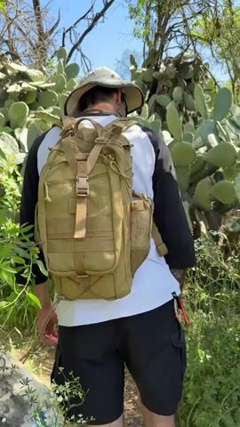 A man hikes through a sunlit natural environment. He is seen from behind, wearing a white and black long-sleeved shirt, black shorts, and a light-colored sun hat. He has a tan backpack on. The environment is lush and includes various plants and cacti. He walks along a narrow path, surrounded by green foliage.  The sky is visible through the trees, a clear and bright blue.