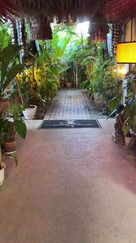 This media file captures a pathway leading through a lush, tropical garden. The scene appears to be an entrance to a venue, possibly a restaurant or hotel, given the welcome mat at the beginning of the brick pathway. The pathway itself is paved with a herringbone brick pattern and is flanked by an abundance of greenery, including large-leafed plants and palm trees. The setting is illuminated by warm, soft lighting, suggesting it is either dusk or evening.

Overhead, a thatched roof structure with hanging lights provides shade and ambiance. The overall atmosphere is serene and inviting, evoking a sense of tranquility and natural beauty. The plants are well-maintained, and the lighting casts a warm glow, creating a welcoming and somewhat mystical environment.

Visible text on the welcome mat reads: "EST. HOUSE OF BENEDICT MADE IN HEAVEN UNDER MOON ABOVE THE CITY 2022". This text indicates the name of the establishment, its location or tagline, and the year of establishment or a specific event. The "UNDER MOON ABOVE THE CITY" likely refers to the location context of Pattaya City, Thailand. There are no people visible in the frame, emphasizing the focus on the setting and its welcoming entrance. The weather appears to be calm, contributing to the peaceful ambiance.