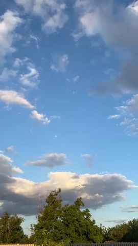 A clear blue sky with scattered white and gray clouds is visible, transitioning into a horizon line of trees. The camera is oriented vertically, capturing the vast expanse of the sky and the tops of the trees. There are no people or discernible objects in the frame. The lighting suggests it is either early morning or late afternoon, with soft light illuminating the clouds. The scene is static, with no movement captured.