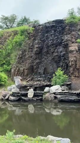This is a vertical video of a rock face with a small waterfall cascading down its side. The rock face is dark and textured, with patches of green moss and vegetation growing on it. At the bottom of the waterfall, there is a pool of water that reflects the surrounding rocks and greenery. Several large rocks and some smaller stones are placed along the edge of the pool, creating a naturalistic arrangement. A small evergreen tree grows to the right of the waterfall. The overall environment appears to be natural and somewhat wild, with trees and foliage visible at the top of the rock face. The sky is overcast, suggesting a cloudy day. There are no people or animals visible in the video.