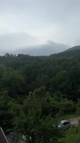 A static, elevated outdoor shot captures a dense green forest covering a hillside under a cloudy sky. In the bottom left, a portion of a dark red tiled roof is visible. A white car is partially discernible in the bottom right, obscured by trees. The sky above the forest is overcast with grey and white clouds.