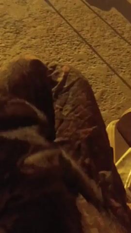 This video shows a close-up view of a domestic cat. The cat's fur is dark brown and gray. The cat is lying on a surface that appears to be dirt or sand, with some scattered debris. The lighting suggests it is nighttime or indoors with artificial light. The cat's head is visible at the end of the video, and it appears to be looking towards the camera. The video is shaky and the focus shifts, making it difficult to see details clearly.