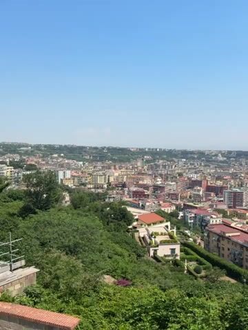 This media file captures a panoramic view of Naples, Italy, under a clear blue sky. The scene is dominated by the sprawling cityscape, characterized by buildings with terracotta roofs and various architectural styles. In the foreground, lush green foliage and trees create a natural frame, hinting at a vantage point from a hillside or elevated park.

The activity appears to be a static observation of the city, with no discernible human presence or action within the frame. The time of day is clearly daytime, likely late morning or early afternoon, given the bright sunlight and the presence of a few scattered clouds. The weather is fair and sunny, contributing to the vibrant colors of the city and the natural landscape.

Notable details include the dense urban fabric of Naples, stretching towards the horizon where distant hills and possibly the sea are visible. The architecture ranges from older, more traditional buildings to modern structures, indicating the city's historical depth and contemporary development. A distinct volcanic cone, likely Mount Vesuvius, can be observed in the distance, a prominent landmark associated with Naples. The overall mood is serene and expansive, offering a sense of scale and the beauty of the Italian landscape. No text is visible in the media file.