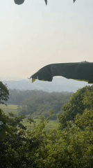 Scenic landscape footage captured in Santa Cruz de Yojoa