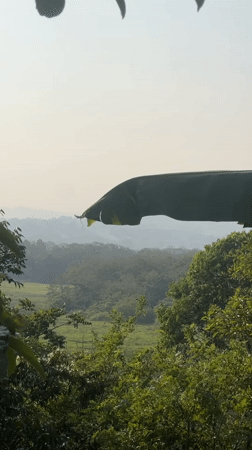 Scenic landscape footage captured in Santa Cruz de Yojoa