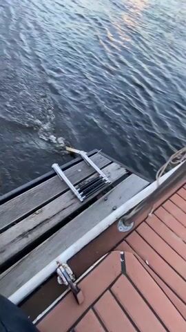 The video begins with a close-up of a boat's wooden deck and a metal ladder extending into the water. The camera pans up to show a vast body of water with gentle waves. In the distance, the sky is a blend of blue and orange hues, suggesting either sunrise or sunset. The scene transitions to focus on a man on the boat, wearing a patterned hat, a light-colored long-sleeved shirt, and brown cargo shorts. He is holding a fishing rod and reel, seemingly engaged in fishing. The boat appears to be in open water, with a shoreline visible in the far distance. The overall atmosphere is calm and serene.