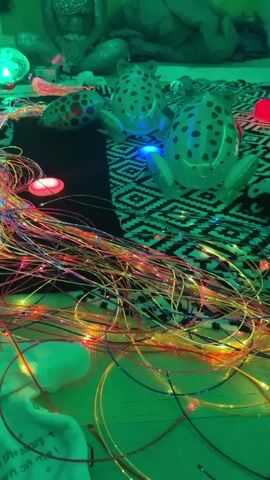 The video displays a sensory room setting, likely designed for children or individuals with special needs, with a strong emphasis on visual stimulation. The primary objects are several large, inflatable frogs with black polka dots, scattered across a black and white patterned rug. A prominent feature is a large tangle of fiber optic strands, interspersed with small, colored lights (red, blue, yellow, and pink), creating a dazzling, almost psychedelic effect. The room is bathed in a vibrant green light, likely from a colored bulb or projector, which casts an ethereal glow on everything.

In the background, partially obscured, are what appear to be larger sensory items, possibly for play or comfort, including a large, light-up globe and what looks like a seated figure covered in a patterned fabric. A white, soft blanket or garment lies in the foreground, with some text visible. It appears to say, "Say hello to the stars shining down on me!" The lighting suggests it could be daytime or evening, with the artificial lighting creating a distinct ambiance. The overall impression is one of a calm, engaging, and visually stimulating environment, designed to promote relaxation and sensory exploration. No specific activity or event is explicitly depicted beyond the static arrangement of objects, but the setup strongly suggests a space intended for interactive play or therapy.