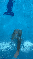 Summer day at an Israeli pool with inflatable obstacle course