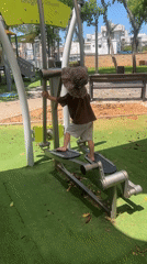Morning palm tree maintenance and park activities in Kiryat Bialik