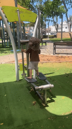 Morning palm tree maintenance and park activities in Kiryat Bialik