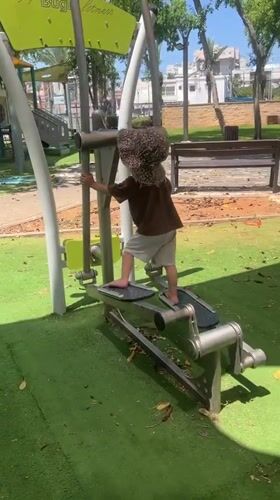Morning palm tree maintenance and park activities in Kiryat Bialik
