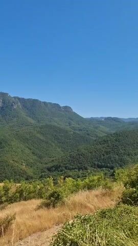 The video shows a scenic view of rolling green hills and mountains under a clear blue sky. In the foreground, there is dry, golden grass and some green bushes. The hills in the midground and background are covered with dense green trees, indicating a forested landscape. The overall impression is of a natural, rural, or mountainous environment on a sunny day. There are no people or discernible objects other than the natural landscape.
