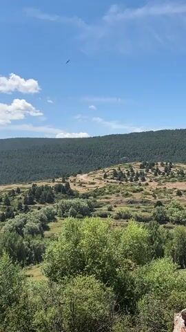 A panoramic video captures a vast landscape under a clear blue sky with scattered white clouds. In the foreground, lush green trees dominate the frame, with their branches reaching towards the sky. Beyond the trees, a rolling hill unfolds, dotted with smaller trees and bushes. The middle ground features a winding dirt road cutting through the terrain, leading towards a densely forested mountain range in the background. The overall impression is one of natural beauty and tranquility. There are no people or discernible objects, other than the natural elements of the landscape.