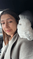 Woman photographed with stuffed owl in car in Krasnoyarsk