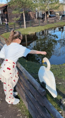 Child and visitors interact with swans at waterside park