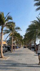 Tourist captures sunny morning scenes across Pattaya beaches and streets