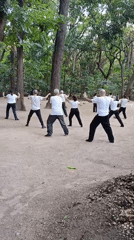 Elderly group practices Tai Chi in Valencia park