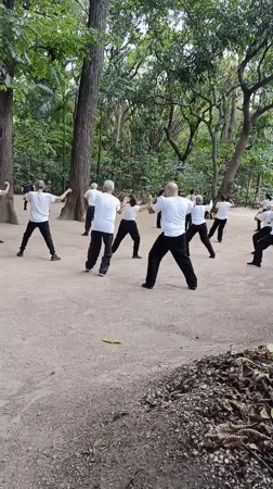 Elderly group practices Tai Chi in Valencia park