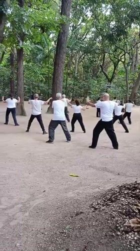 Elderly group practices Tai Chi in Valencia park