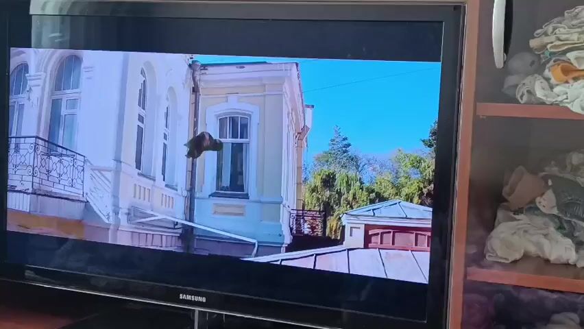 A black television screen displays a scene from a cartoon. The scene transitions from an exterior shot of a yellow building with white window frames and wrought iron balcony railings to an interior shot of a child's room. A cartoon figure is shown leaping through a window into the room where a child and a dog are present. The child is standing and facing the interior of the room while the dog is lying on the floor. A wooden shelf is visible in the background to the right of the television, containing folded fabrics and other items.