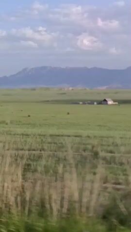 A video captures a view of a rural landscape. In the foreground, tall grass blurs due to motion, suggesting movement through the scene. Beyond the grass is a vast, flat green field, possibly a pasture or crop field. In the middle ground, a cluster of farm buildings, including a prominent barn with a visible roof, stands in the center of the field. In the distance, a range of mountains forms the horizon under a sky with scattered white clouds. The overall impression is of a tranquil, open country setting.