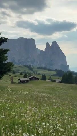 This is a vertical video clip showcasing a serene mountain landscape in Kastelruth - Castelrotto, Italy. The foreground is dominated by a lush green meadow dotted with white wildflowers and tall grass, some of which appear to be dandelions with fluffy seed heads.

In the middle ground, several rustic wooden chalets are nestled amongst the rolling hills. These structures appear small and weathered, fitting harmoniously with the natural surroundings. A dark green conifer tree frames the left side of the shot, adding depth to the scene.

The background features a magnificent mountain range with dramatic, jagged peaks that rise imposquely against the sky. The mountains have a rocky, imposing appearance.

The sky above is partially overcast with soft, diffused light, suggesting it is either early morning or late afternoon. The clouds are a mix of grey and white, with some brighter patches indicating sunlight breaking through. The overall mood is peaceful and tranquil, evoking a sense of natural beauty and rustic charm. There is no visible text in the video.