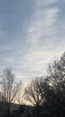 Early spring scenes captured in Sofia parks and skies
