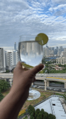 Glass raised to the Kuala Lumpur skyline, lime or wildflowers inside