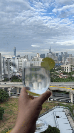 Glass raised to the Kuala Lumpur skyline, lime or wildflowers inside