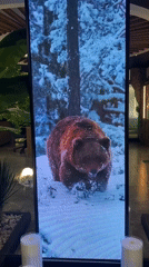 Wildlife displays draw visitor photos in Votkinsk indoor venue